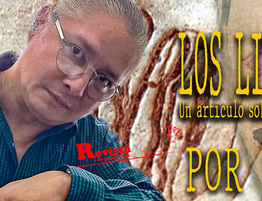 detalle NOE LIMA ARTICULO